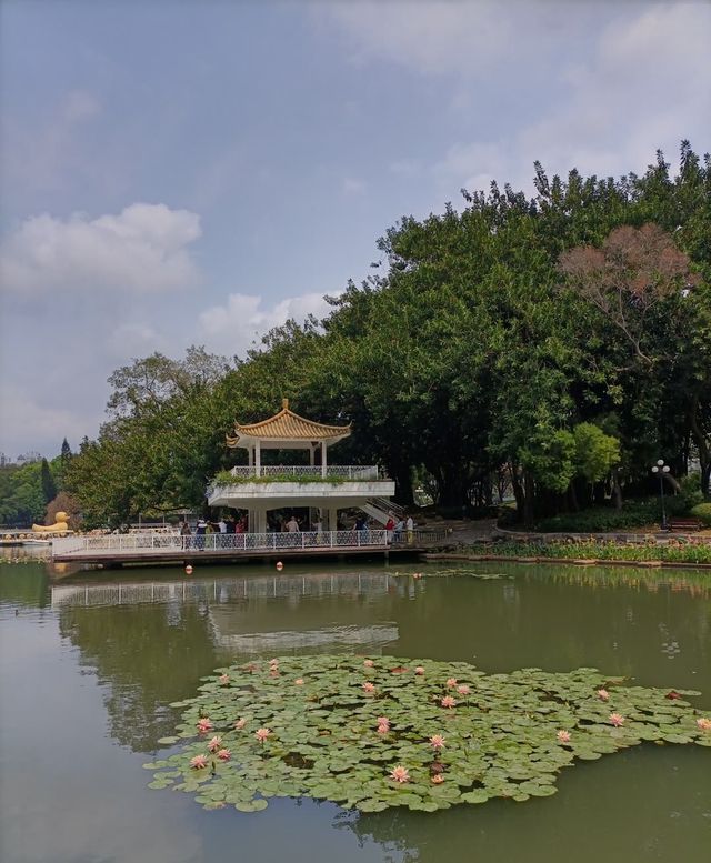 荔枝公園