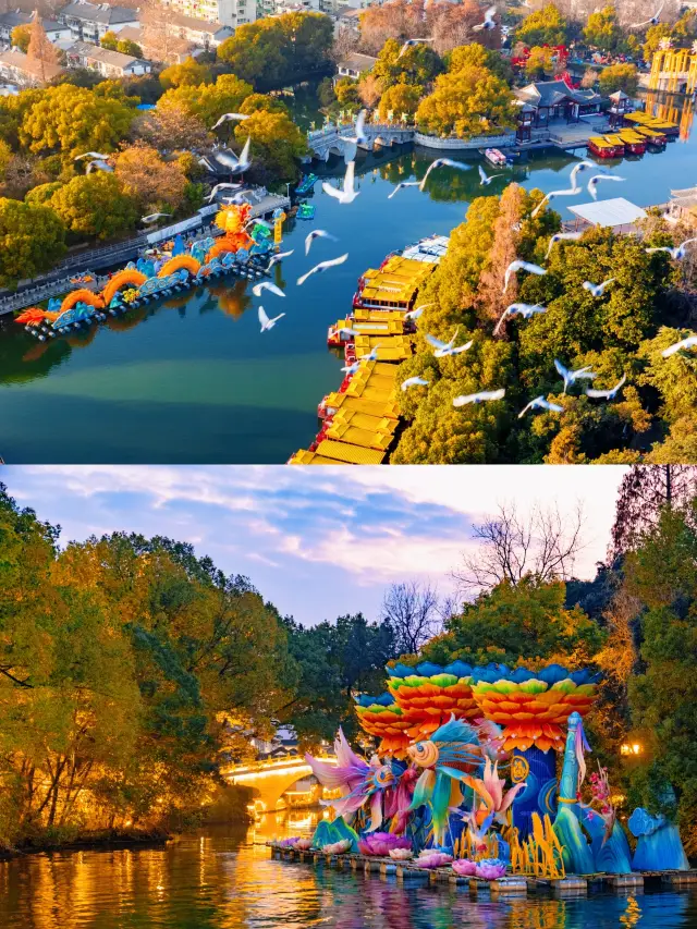 南京白鹭洲公園夜遊夢幻光影之旅