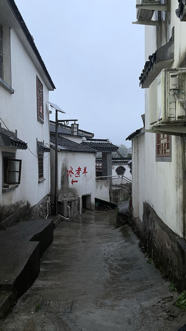 南京佘村半日遊