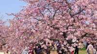辰山植物園4-6月去更美哦！