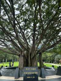 深圳仙湖植物園 | 弘法寺