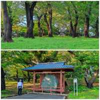 【夏日東京綠】黃昏時的飛鳥山公園，一派金色抹茶綠～