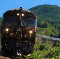 日本九州絕絕子旅遊列車
