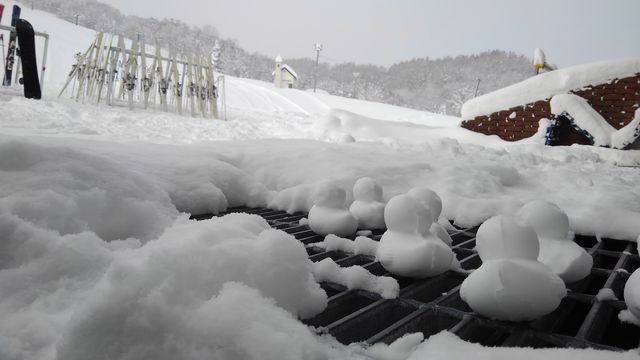札幌滑雪場：釋放冬日激情，盡享極致滑雪樂趣！