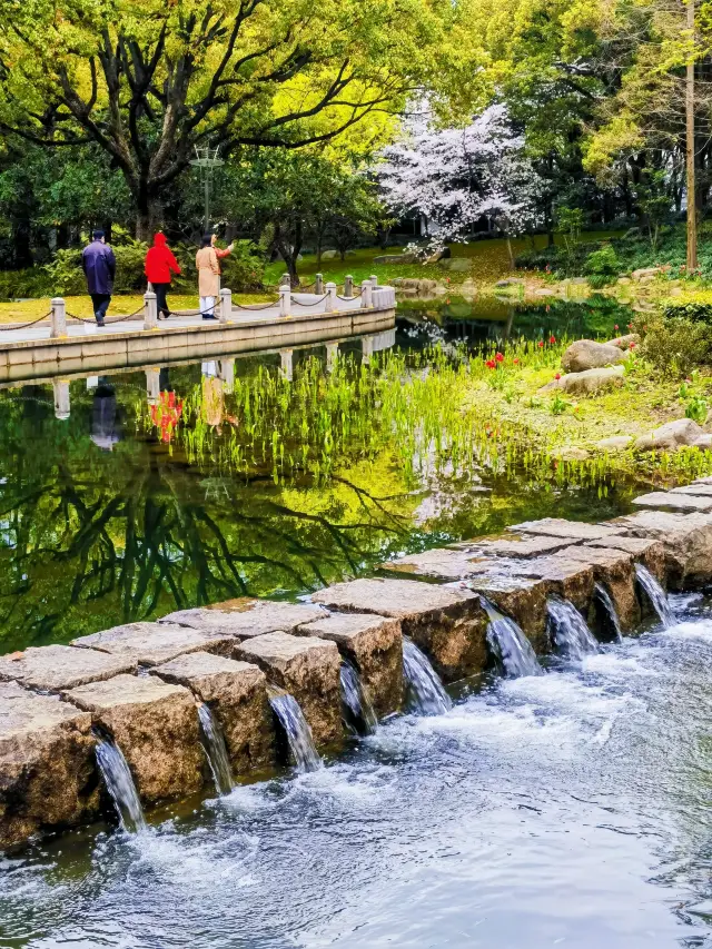 Xujiahui Park in spring is colorful!