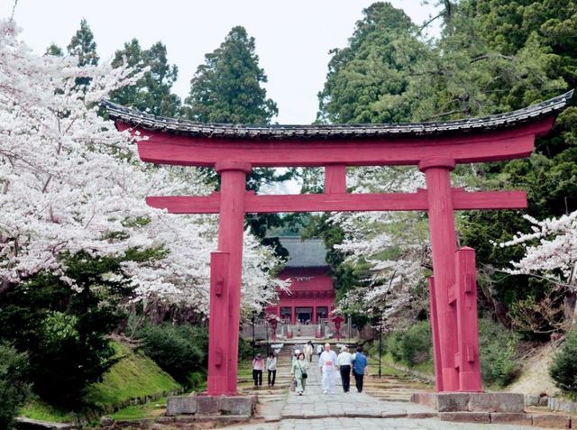 Atami Hanami