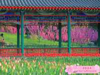 🌺 Zhongshan Park's Floral Splendor  