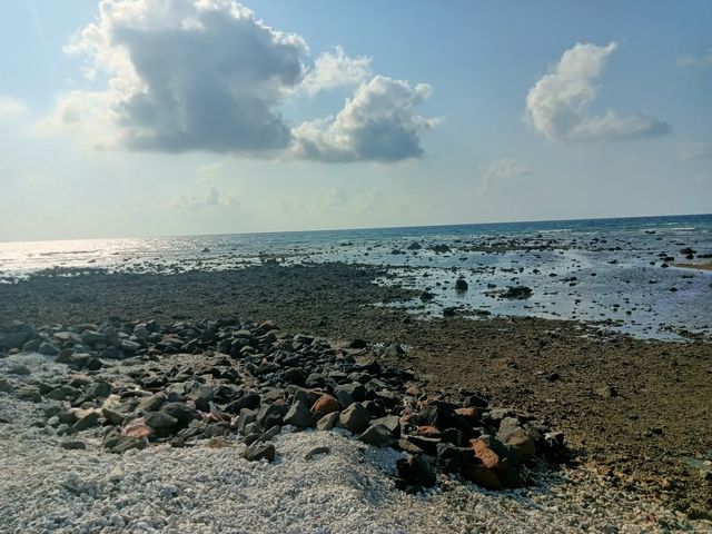 西沙羚羊礁 西沙羚羊礁