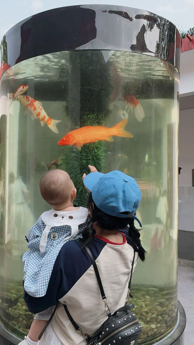 閃閃（4/10春遊）是動物園裡的治癒