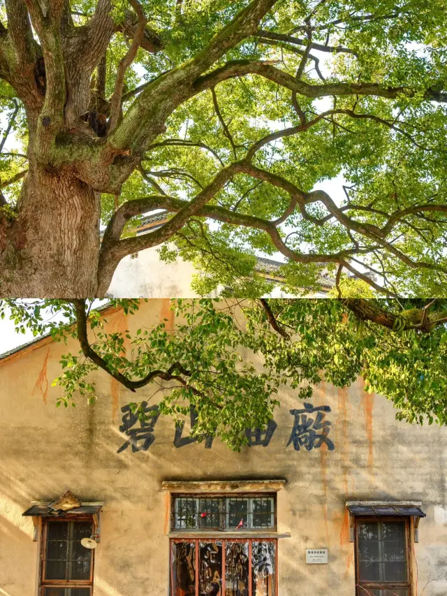 I love these four lesser-known ancient villages in Anhui even more