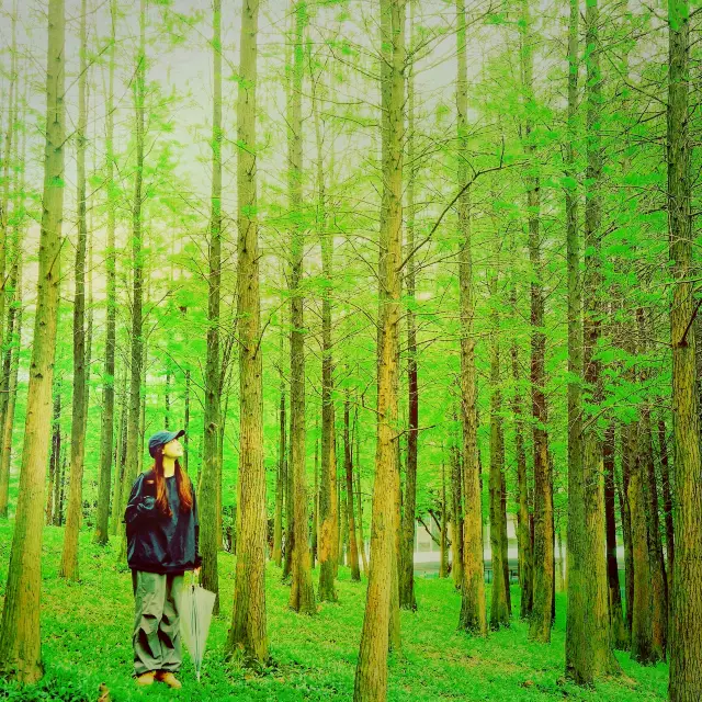 천나 천하 이 푸른 초원의 요정 숲, 또 푼했다!||