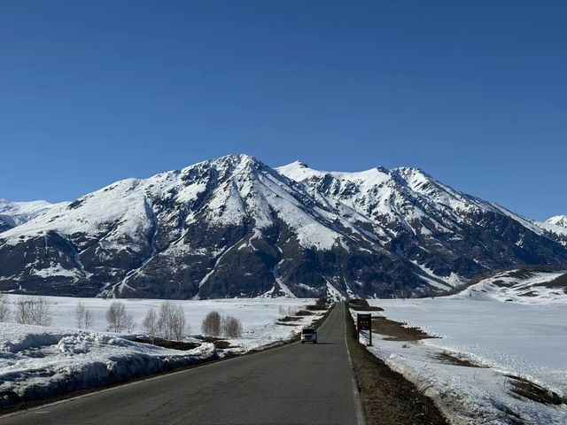 禾木與雪峰、森林、草地、藍天白雲最相襯