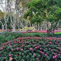 去逛公園去哪裡？去上海市徐匯區淮海中路襄陽公園