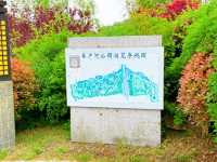 皂戶河公園：夏日清涼綠洲，一遊盡享自然魅力！