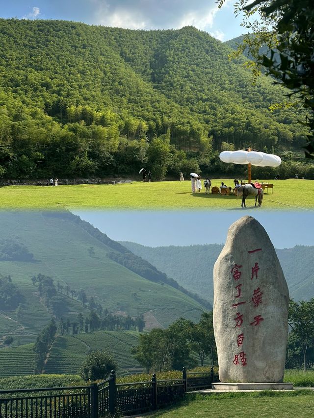 一個與世界失聯的48小時