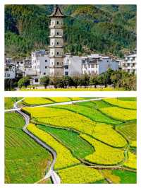 景德鎮的美，在我踏足婺源之後，顯得略顯遜色