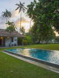 🌴🛏️ Sri Lanka's Serene Stay: Frangipani Tree! 🏖️