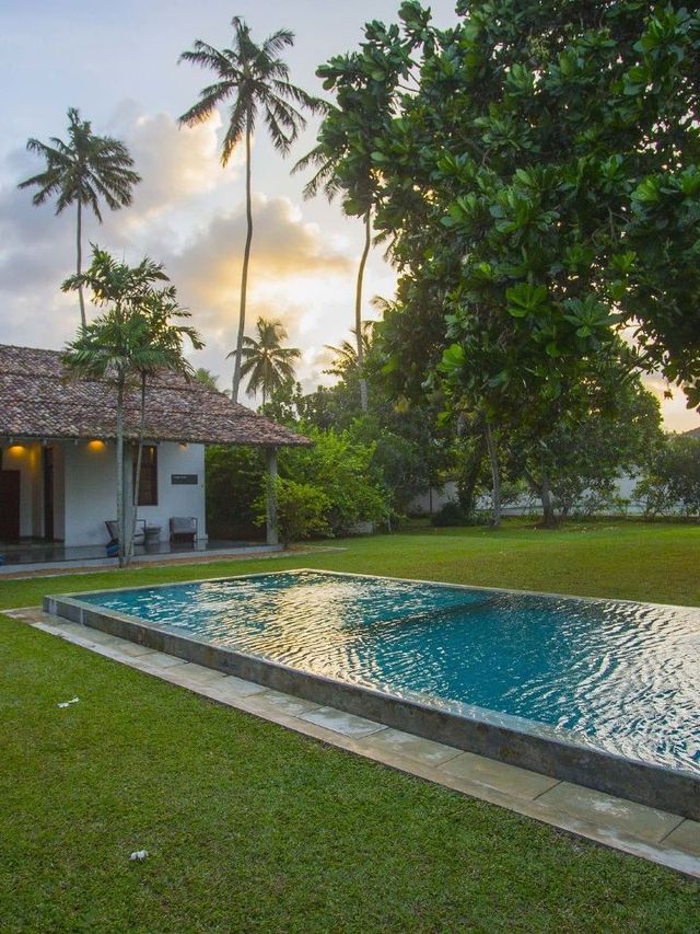 🌴🛏️ Sri Lanka's Serene Stay: Frangipani Tree! 🏖️