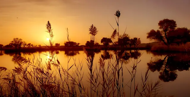 신장{북신장 10일 여행}추천 코스.