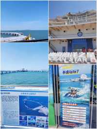 研學旅行——山海海洋之星