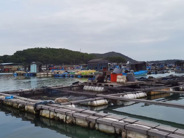 遙遠不遠只要心之所向第九篇～～訊洲島