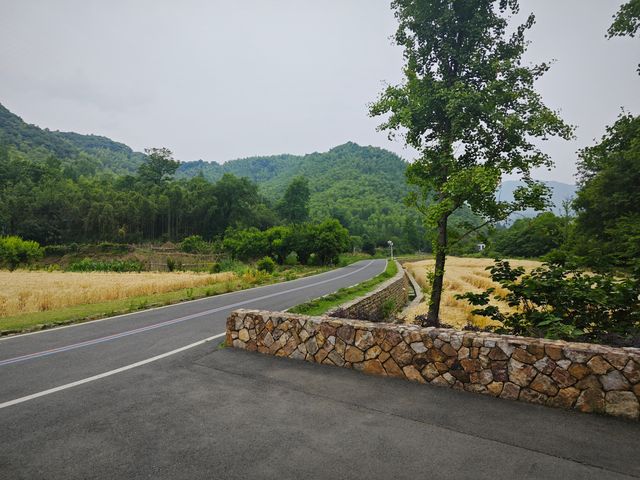安吉余村一遊