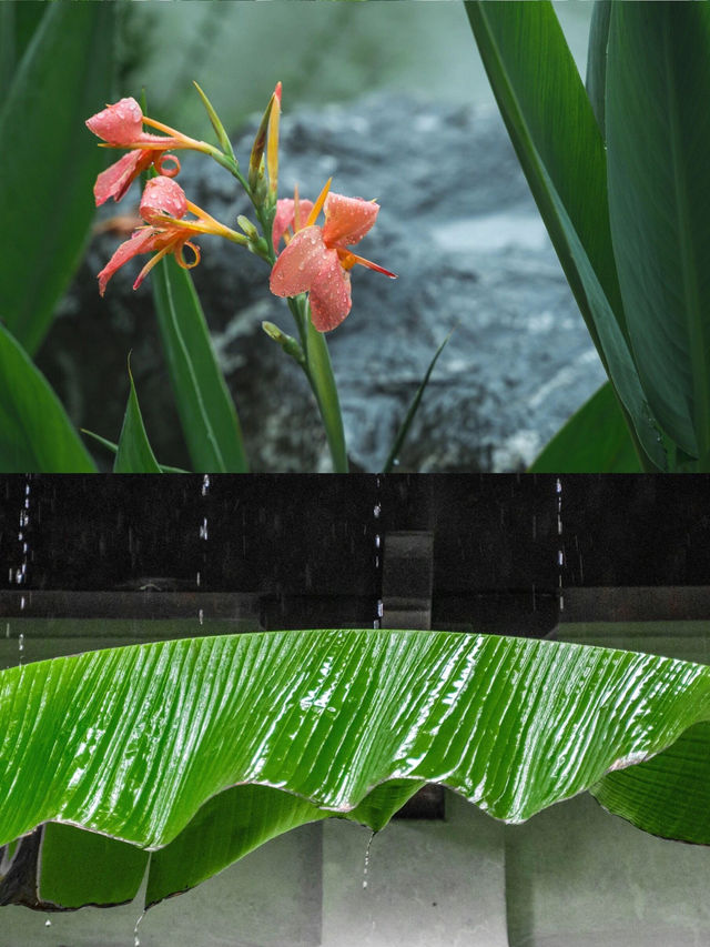 北京出發，週末暢遊溫州