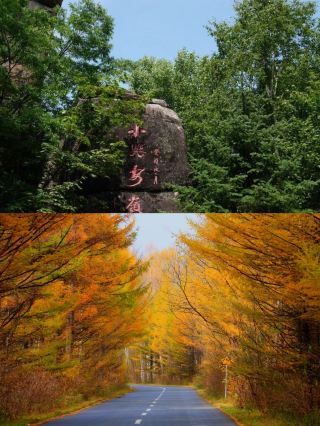 Yichun 2-Day Forest Trip, Exploring the Hometown of Red Pine