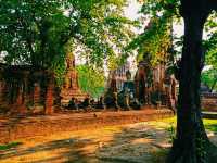 Wat Mahathat: Miraculous Ruins
