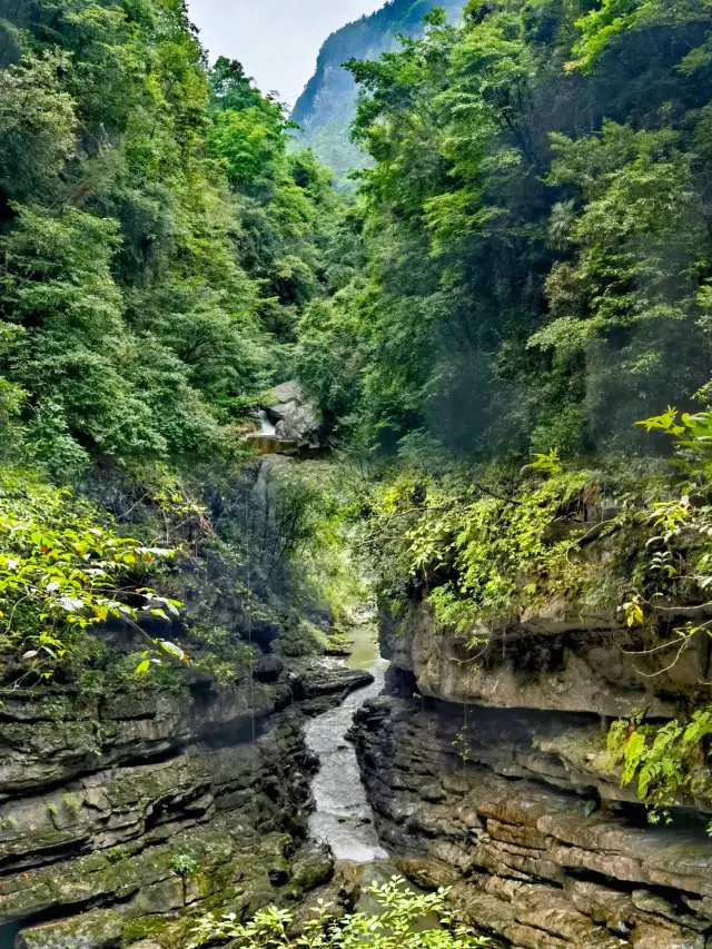 Chongqing Jindaoxia | A Wonderful Journey in Nature