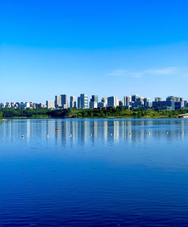 這次沒被騙成都興隆湖的花海巨巨巨巨美！！