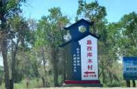 自駕139胡楊公路，深度感受南疆秘境