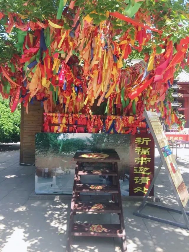 山海之間威海赤山｜山東暑假寶藏避暑聖地