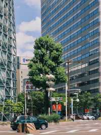 名古屋2日遊Citywalk攻略總結