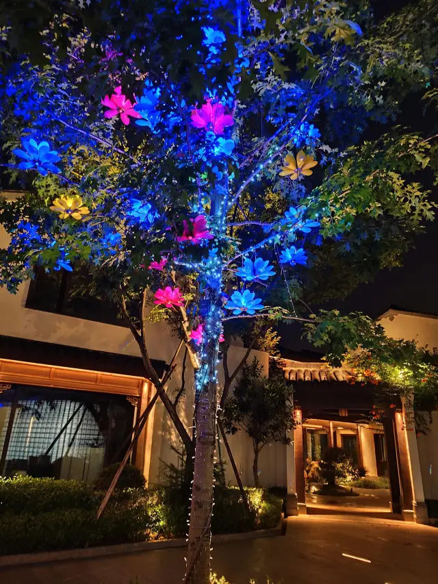 Real shot of the beautiful night view of Yixing Yangxian Xishan Yada Town