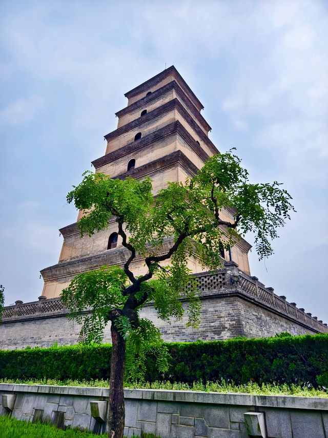 西安市     大雁塔。