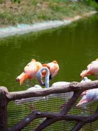 西安秦嶺野生動物園。