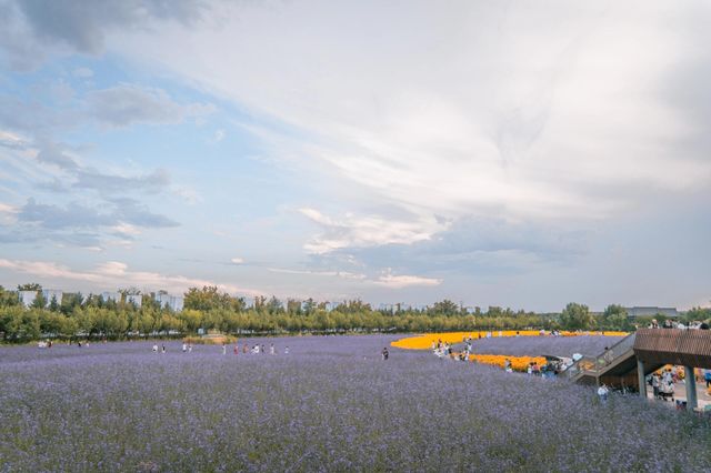 吉林長春北湖濕地公園｜一幅充滿生機與活力的畫卷。