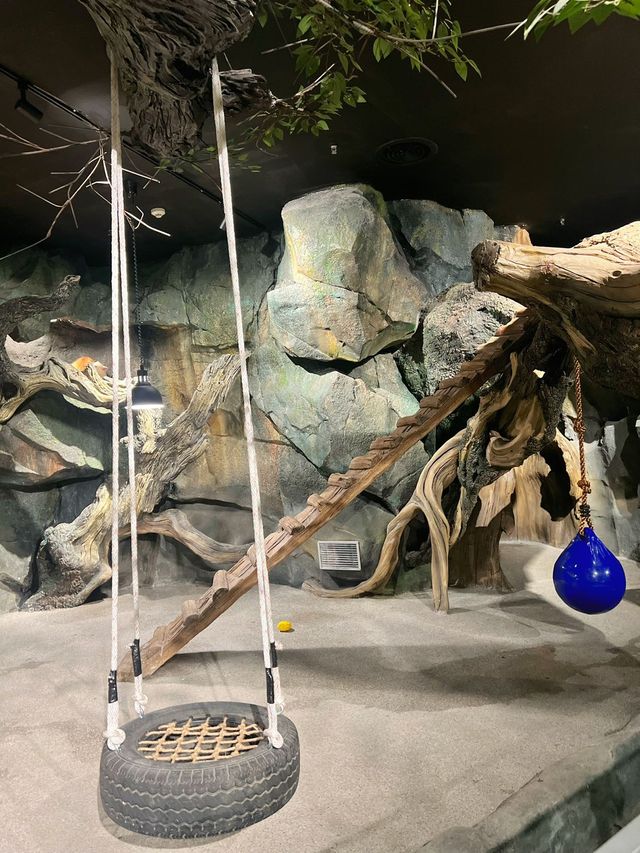 五角場全新開幕 | 隱藏在城市喧嘩中的自然之趣。 五角場全新開幕 | 隱藏在城市喧嘩中的自然之趣。