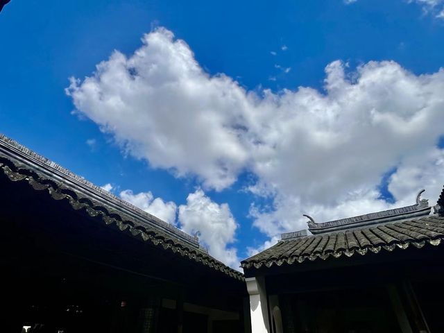 台風「貝碧嘉」過後遊覽川沙公園。 台風「貝碧嘉」過後遊覽川沙公園。
