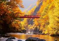 北海道秋天的《定山溪》。
北海道定山溪「紅葉季」遊覽路線和景點推薦