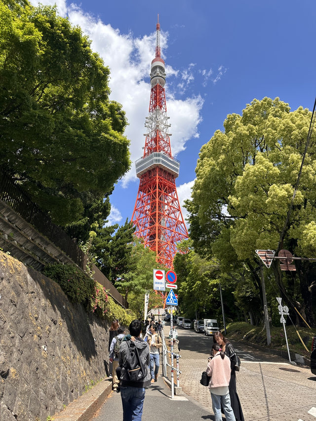 The Best Views of Tokyo From The Iconic Tokyo Tower 🗼 
