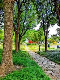 昔日的綠皮火車今日的亮麗風景。
