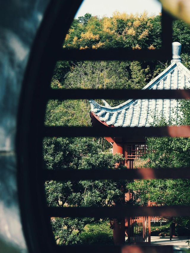 花築奢·荊門｜深藏不露，不可錯過小眾景點。