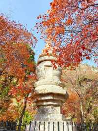 山東石門坊｜齊魯紅葉。