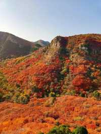 山東石門坊｜齊魯紅葉。