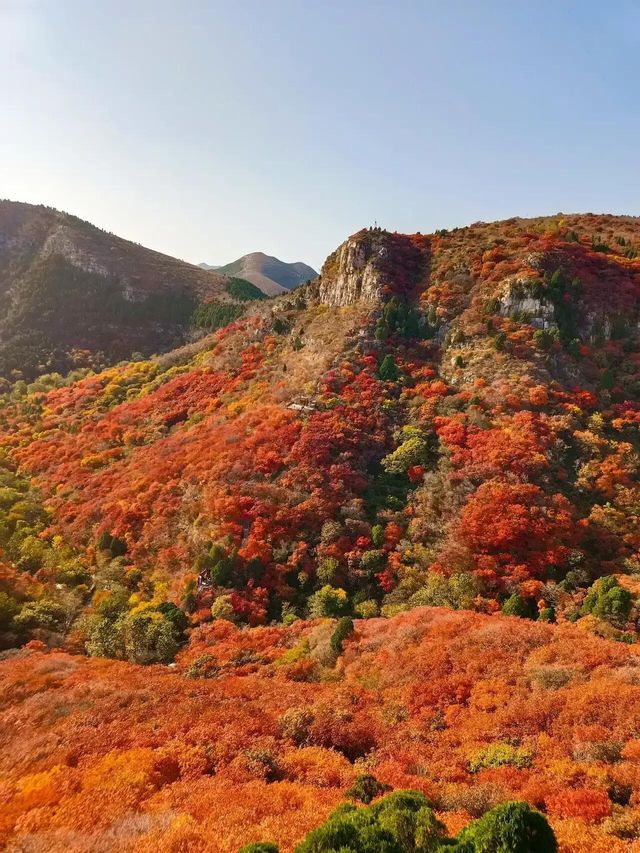 山東石門坊｜齊魯紅葉。