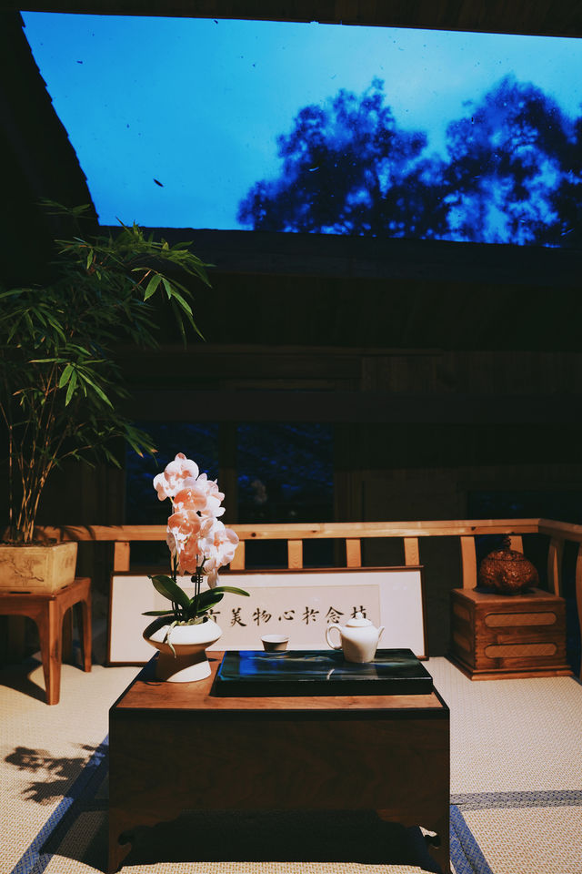 溫州探秘 | 泰順徐岙底古村落的寶藏小院。