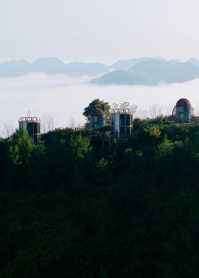 問佛雲宿。