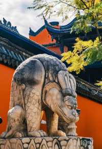 西昌｜去大石板村。